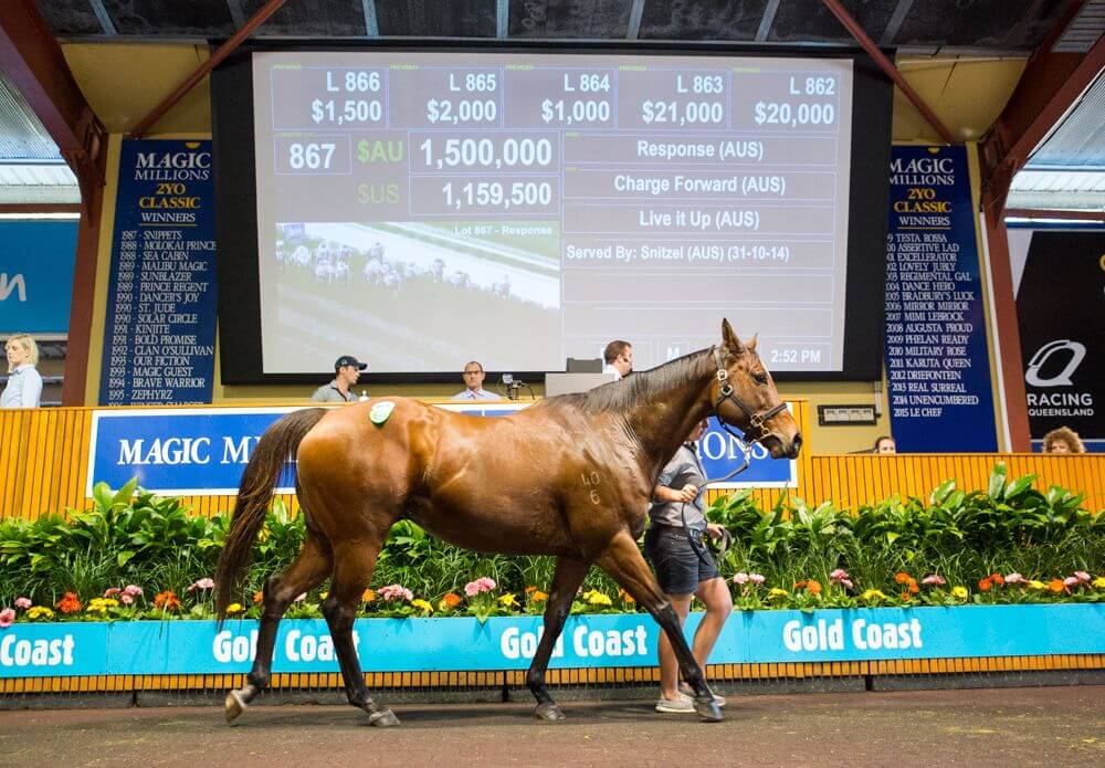 Response Tops Day Two of National Broodmare Sale