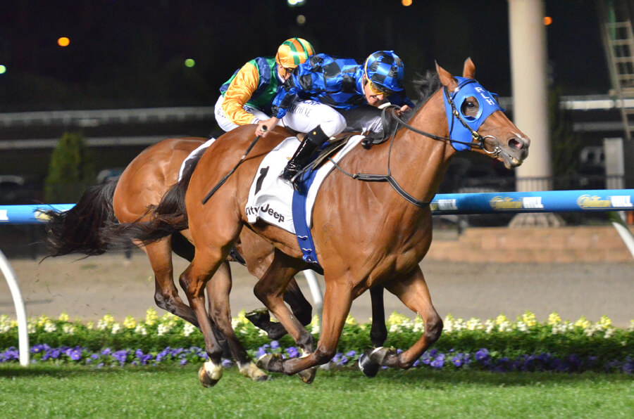 Buffering wins the 2015 Moir Stakes - F Tomlin pic