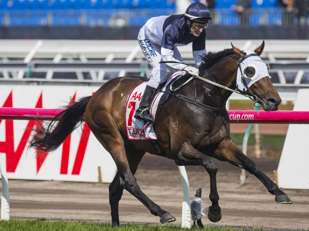 Tarzino wins the VRC Derby