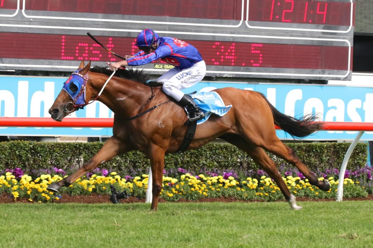 Five Straight as Mighty Mahuta Wins Guineas