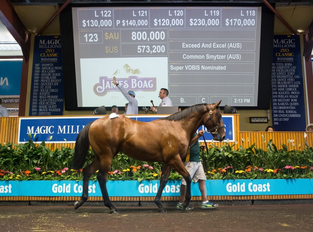 Exceed and Excel Colt Stars on Day One