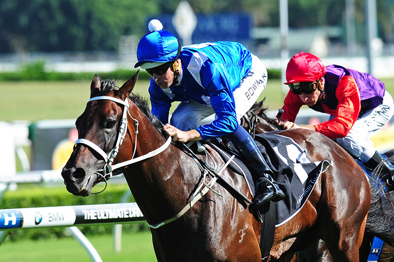 Winx Crowned Australian Racehorse of the Year