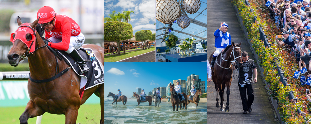 Breeders Take Gold Coast Sale to Next Level