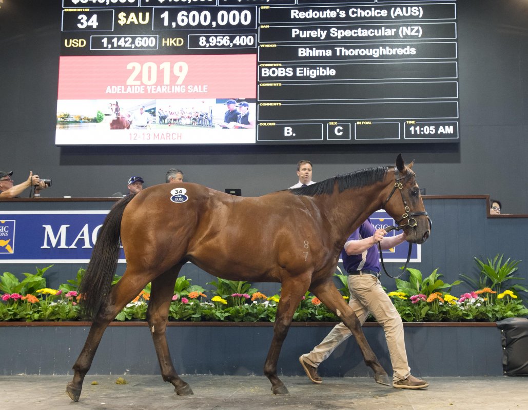 Four Seven Figure Sellers on Day One