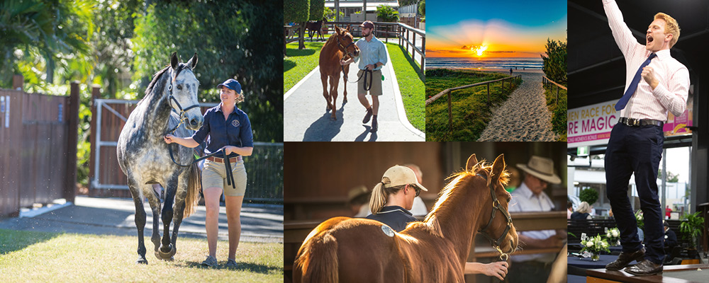 One Week Delay for Magic Millions National Sale