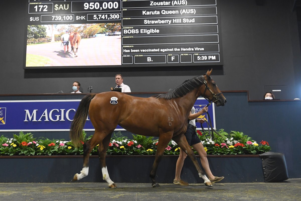 Karuta Queen Filly Tops Buoyant Gold Coast Opener