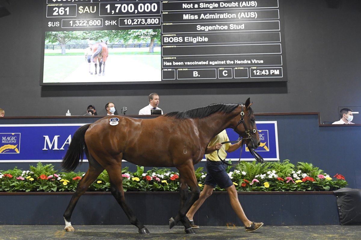 Not a Single Doubt About Gold Coast Day Two Topper