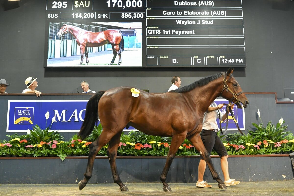 Gollan and Foote Swoop on Sale Topper at Gold Coast March