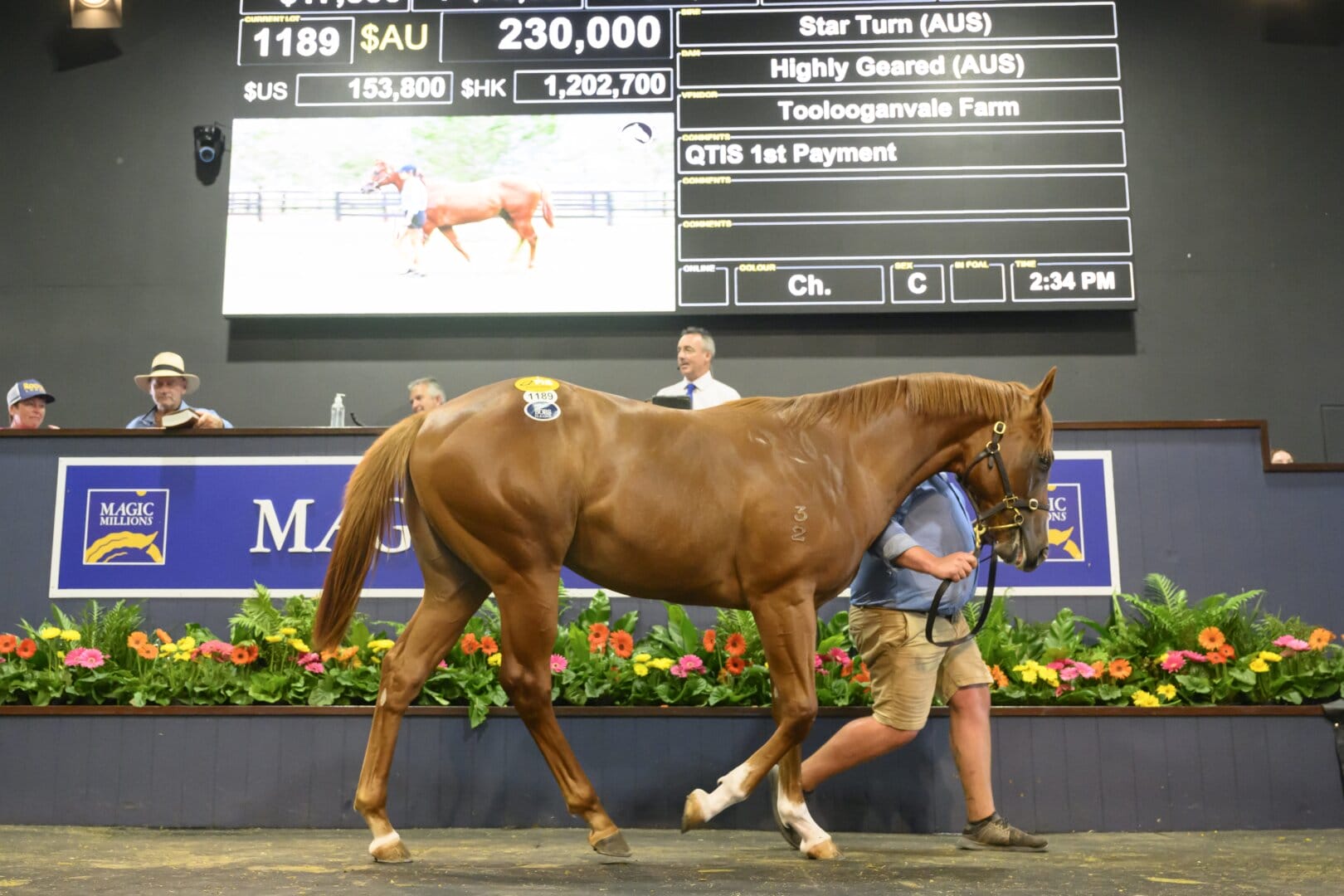 2024 Gold Coast Yearling Sale Magic Millions