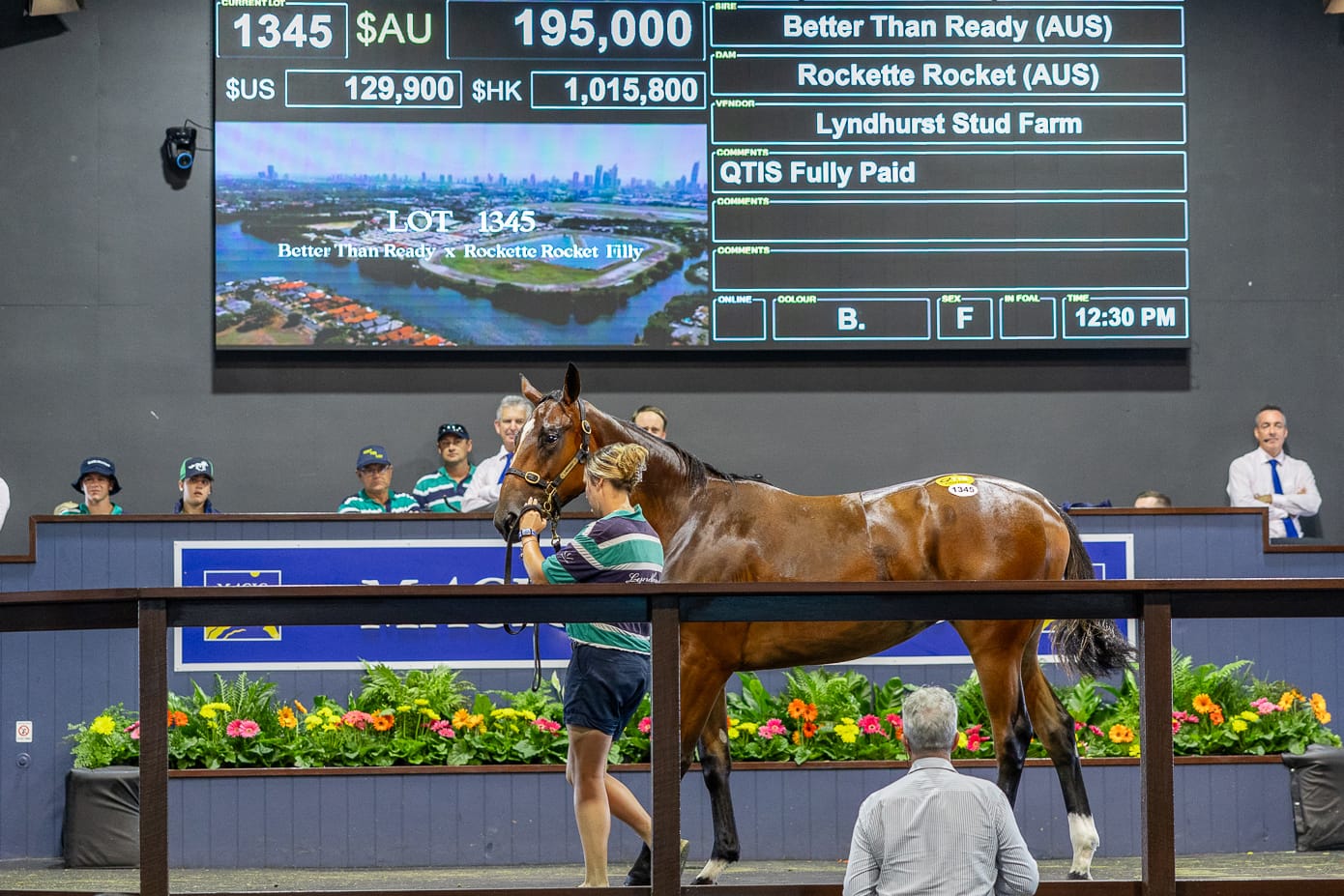 2024 Gold Coast Yearling Sale Magic Millions