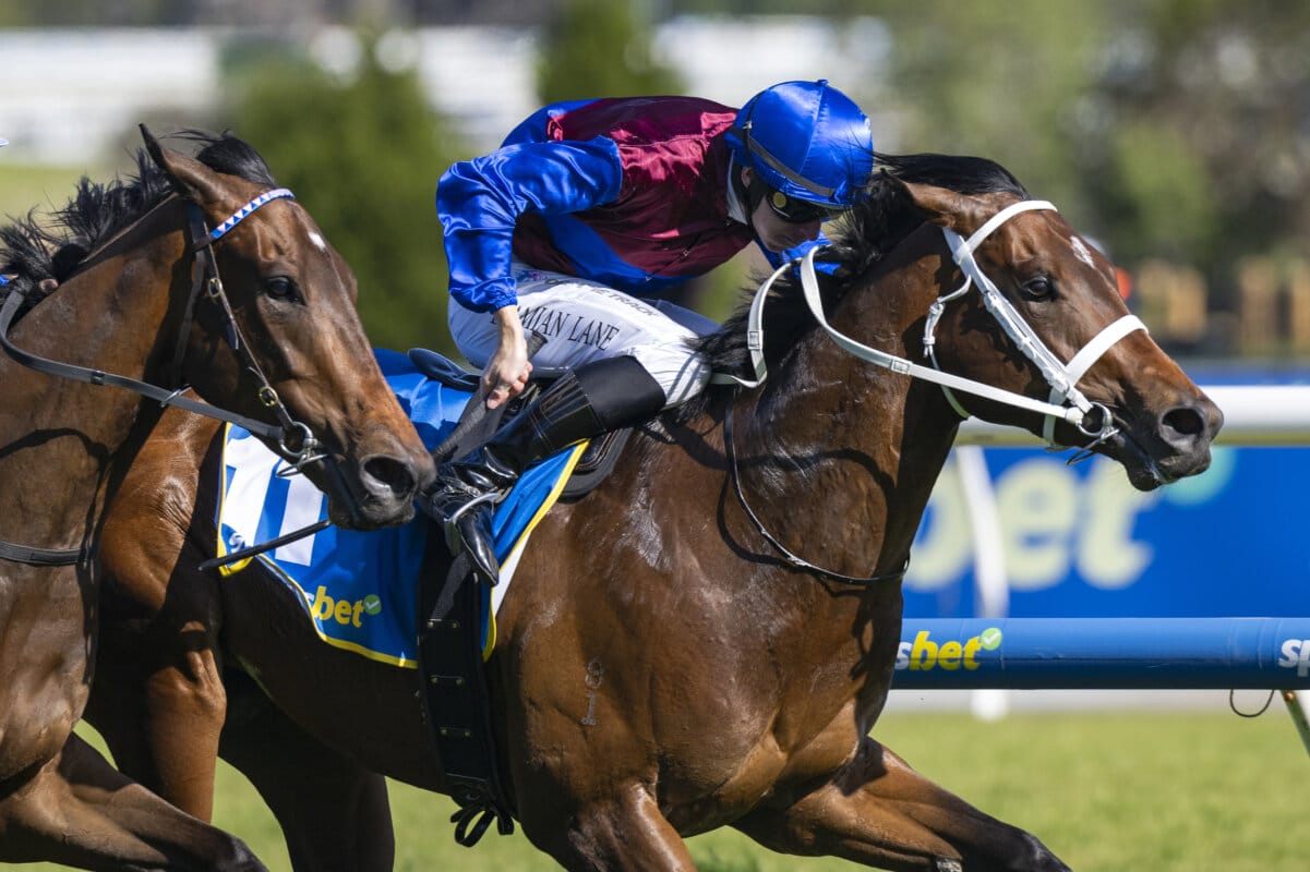 Private Life On Show in Caulfield Guineas